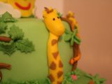 IMG_3120