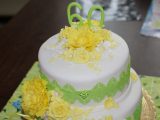 IMG_8976