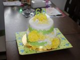 IMG_8982