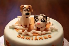 IMG_0550