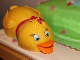 IMG_8861