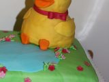 IMG_8862