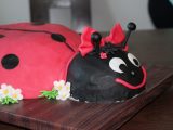 IMG_2227