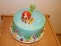 IMG_8720