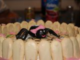 IMG_2155