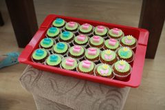 IMG_8121