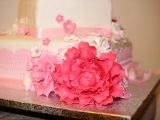 IMG_6441