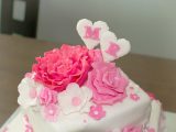 IMG_6461