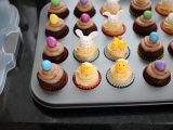 IMG_1205